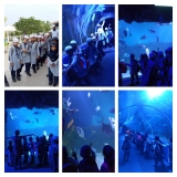 IMG-20230204-WA0012