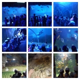 IMG-20230204-WA0013